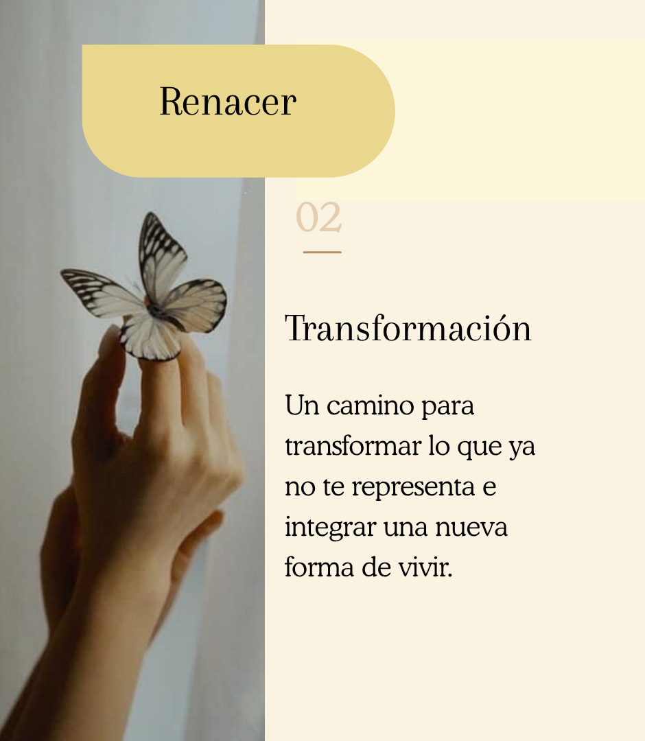 Post de Instagram Minimalista Interior Beige Neutro (67)