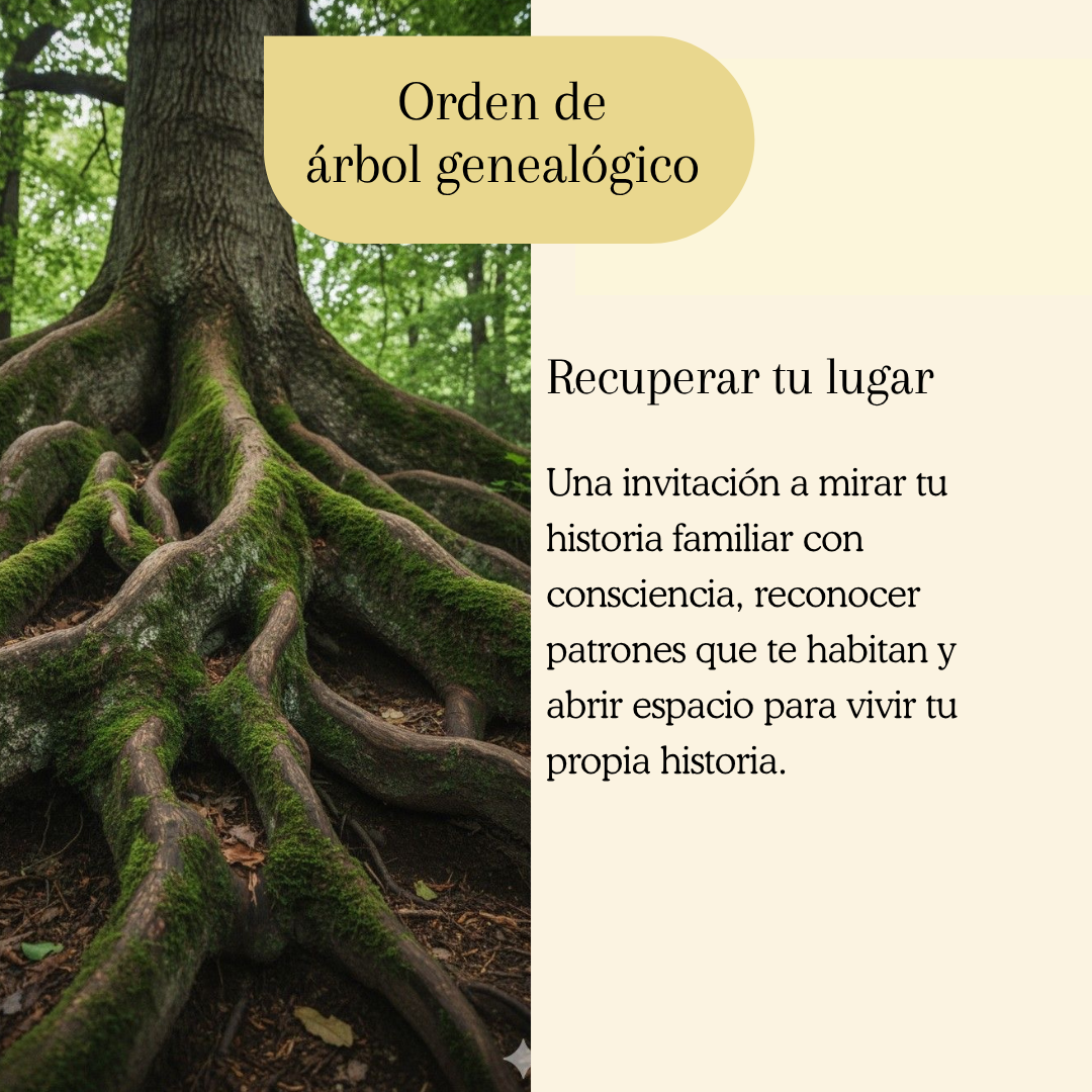 image0 (10)